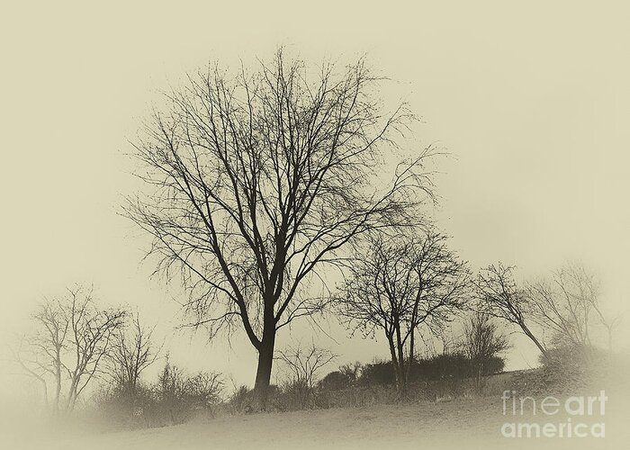 Lovely Greeting Card featuring the photograph Silence Winter Landscape by Eva-Maria Di Bella