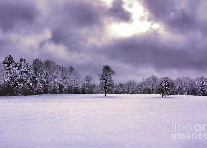Snow Greeting Card featuring the photograph Silent Sentry by Rick Lipscomb