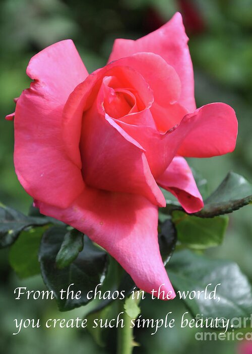 Rose Greeting Card featuring the digital art Simple Beauty by Kirt Tisdale