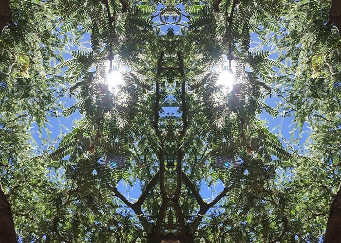 Tree Greeting Card featuring the photograph Simply Aware Earth Elemental by Soul Ecstatic