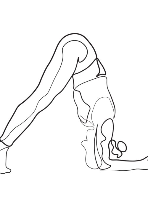 Yoga girl - pencil sketch by Steve Irvine on Dribbble