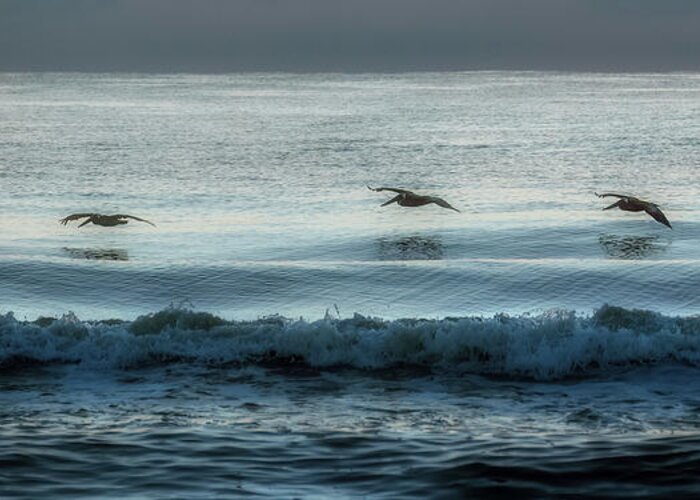 Seascape Greeting Card featuring the photograph Skimming Over Sunrise Surf by Steven Sparks