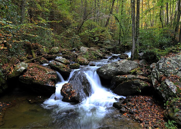 Smith Creek Greeting Card featuring the photograph Smith Creek North Georgia by Richard Krebs