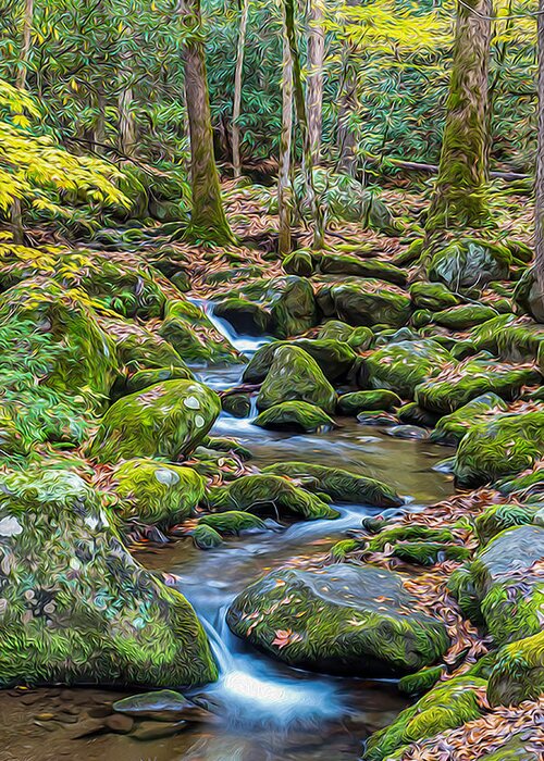 Great Smoky Mountains National Park Greeting Card featuring the photograph Smoky Cascade 03 OP by Jim Dollar
