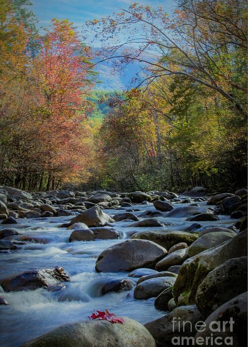 Landscape Greeting Card featuring the photograph Smoky Mountain Autumn by Theresa D Williams
