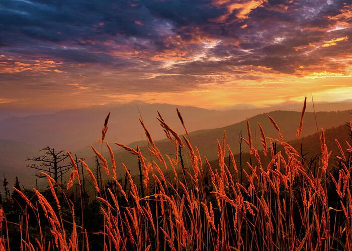 Smoky Mountain Memories Grassy Sunset Greeting Card featuring the photograph Smoky Mountain Memories by Randall Branham