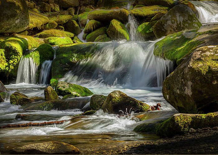 Smoky Mountains Greeting Card featuring the photograph Smoky Mountains Cold Spring Water by Theresa D Williams