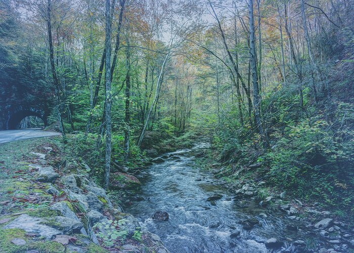 Cades Greeting Card featuring the photograph Smoky Mountains Coolness Country Streams by Debra and Dave Vanderlaan