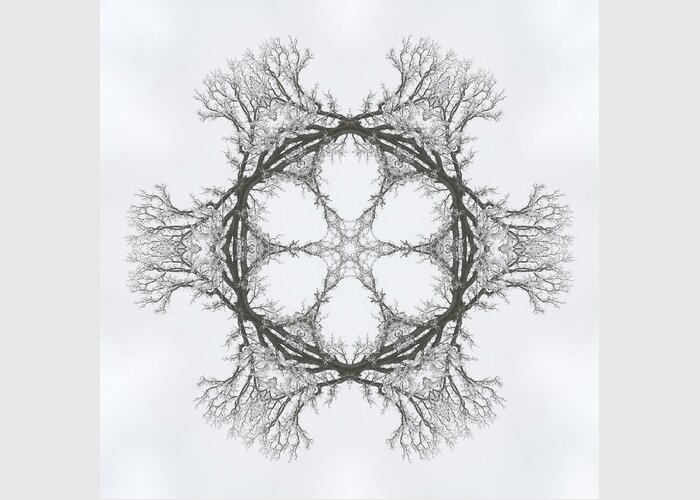 Oak Greeting Card featuring the photograph SnOAKflake - Snow covered oak tree in winter as through kaleidoscope by Peter Herman