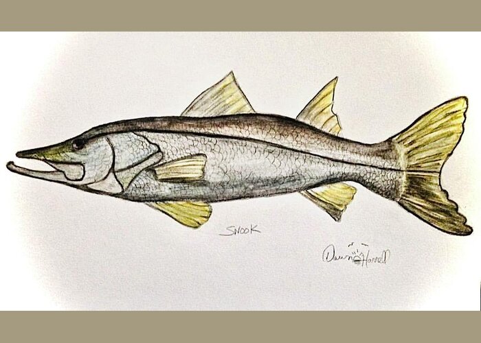Snook Greeting Card featuring the painting Snook by Dawn Harrell