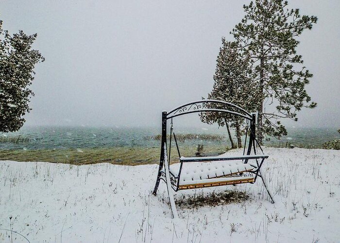 Fall Greeting Card featuring the photograph Snow Covered Swing DSC_0886 by Michael Thomas