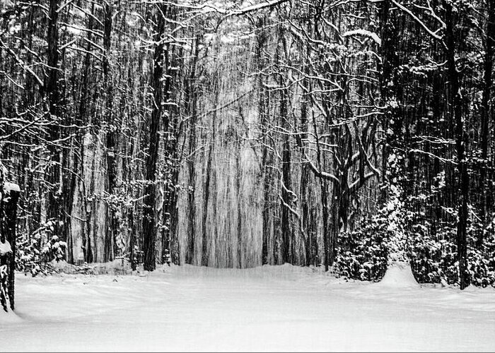 Catskills Greeting Card featuring the photograph Snow Storm by Louis Dallara