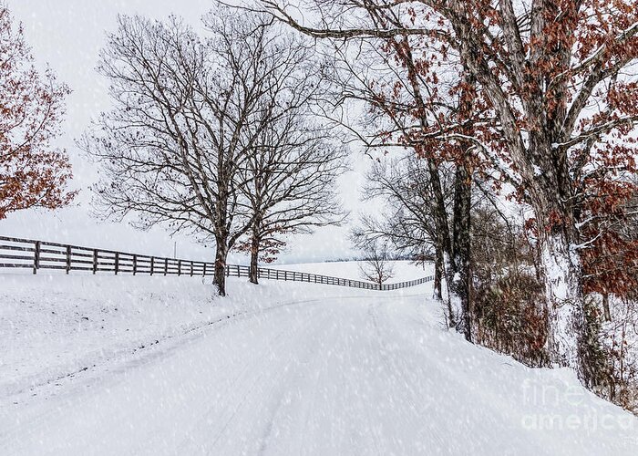 Winter Greeting Card featuring the photograph Snowy Country Drive by Jennifer White