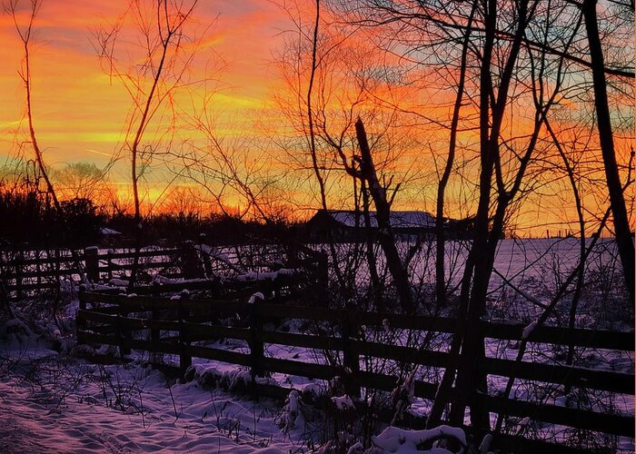 Snow Greeting Card featuring the photograph Snowy Farm Sunset by Ally White