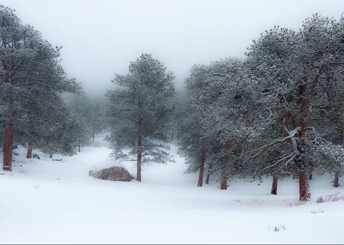 Colorado Greeting Card featuring the photograph Snowy Morning - 0622 by Jerry Owens