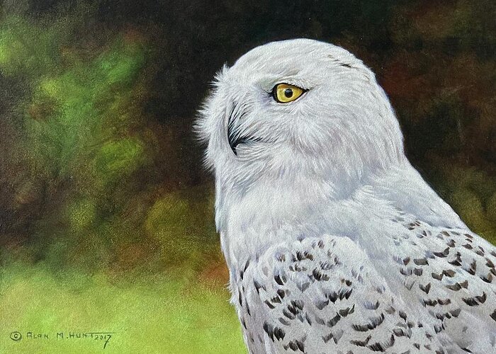 Snowy Owl Greeting Card featuring the painting Snowy Owl Study by Alan M Hunt