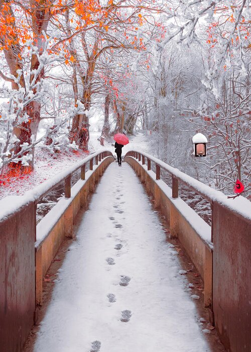 Carolina Greeting Card featuring the photograph Snowy Walk Painting by Debra and Dave Vanderlaan