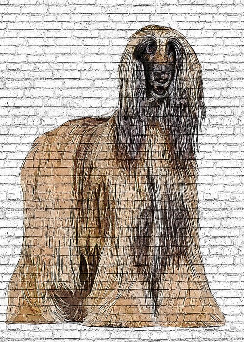 Afghan Hound Greeting Card featuring the painting So Beautiful, Afghan Hound Dog - Brick Block Background by Custom Pet Portrait Art Studio