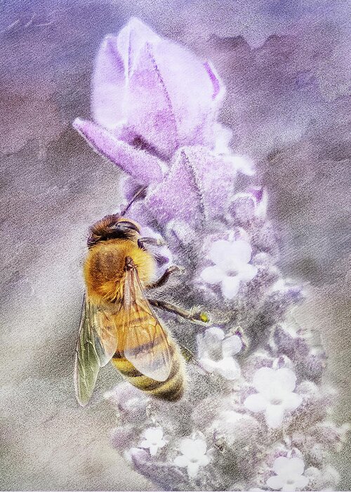 Honey Bee Flower Fine Art Print Greeting Card featuring the photograph So Bee It by Jerry Cowart