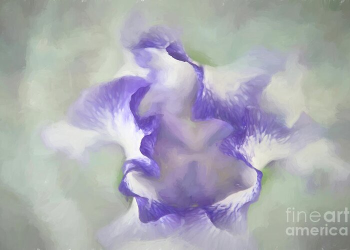 Iris Greeting Card featuring the photograph Soft and Abstract Iris by Amy Dundon