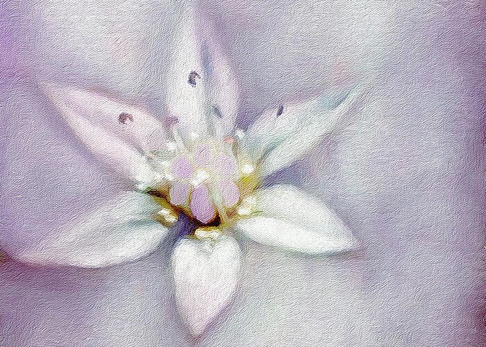 Soft Greeting Card featuring the digital art Soft and Sweet Flower Art by Laurie's Intuitive