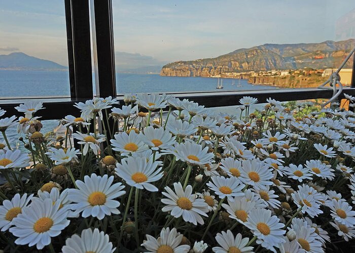 Sorrento Greeting Card featuring the photograph Sorrento - View with Flowers by Yvonne Jasinski
