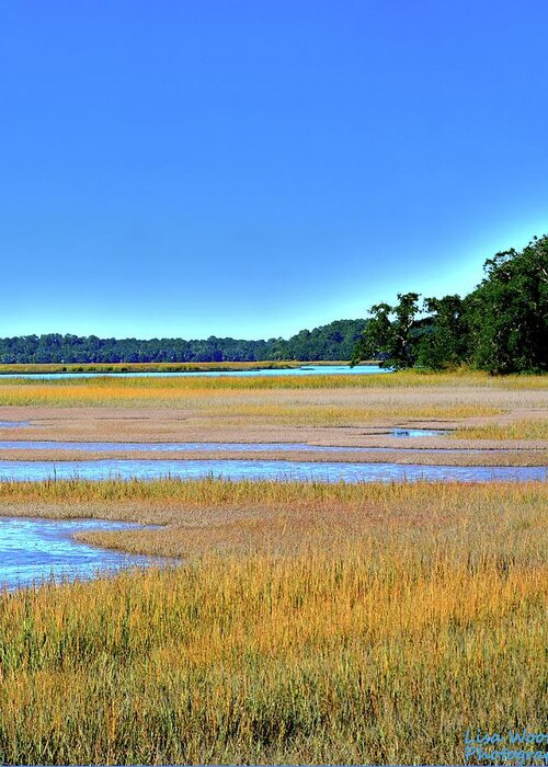 South Carolina Lowcountry Hdr Vertical 2 Greeting Card featuring the photograph South Carolina Lowcountry Hdr Vertical 2 by Lisa Wooten