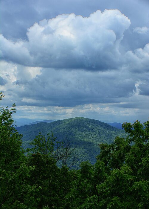 South District Shenandoah Buck Mountain Greeting Card featuring the photograph South District Shenandoah Buck Mountain by Raymond Salani III