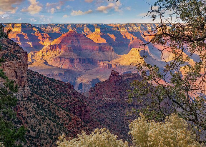 Tim Fitzharris Greeting Card featuring the photograph South Rim, Grand Canyon National Park, Arizona USA by Tim Fitzharris