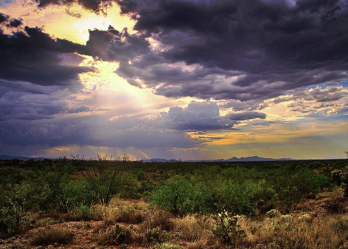 Southwest Greeting Card featuring the photograph Southwest Desert Sky Glow, Arizona by Chance Kafka