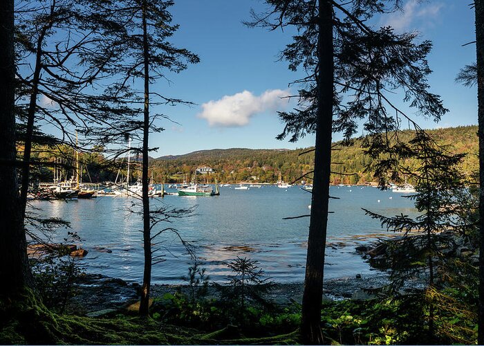 Boat Greeting Card featuring the photograph Northeast Harbor from the Trees by Craig A Walker