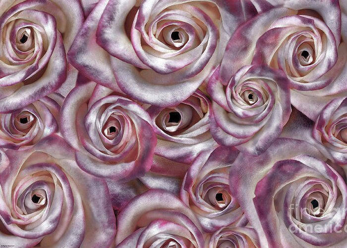 Rose Greeting Card featuring the digital art Space Roses by Mehran Akhzari
