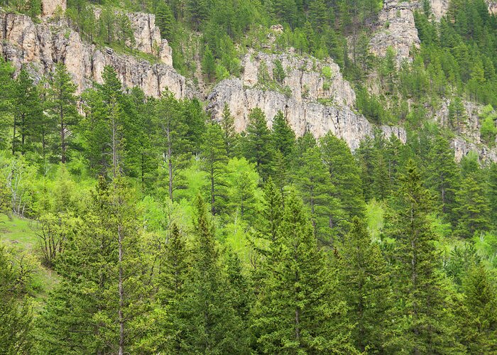 Spearfish Canyon Greeting Card featuring the photograph Spearfish Canyon by Larry Bohlin