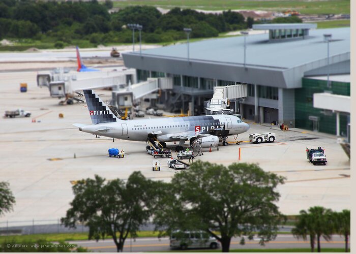 Airbus Greeting Card featuring the mixed media Spirit Airbus A319 at Tampa by Custom Aviation Art