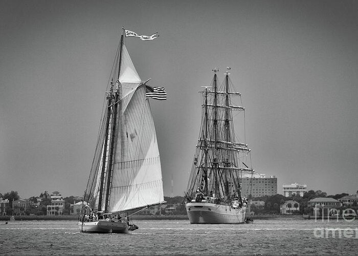 Spirit Of Sc Greeting Card featuring the photograph Spirit of SC - US Coast Guard Eagle - Charleston by Dale Powell