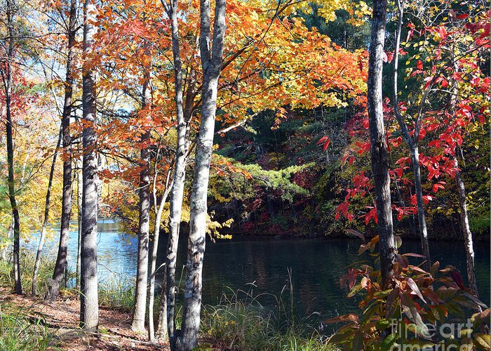 Fall Autumn Autumnal Leaf Leaves Tree Trees Forest Lake Lakes Nature Landscapes Season Seasonal Pond Ponds Wooded Woods Path Paths Greeting Card featuring the photograph Splendor in the Fall by Li Newton
