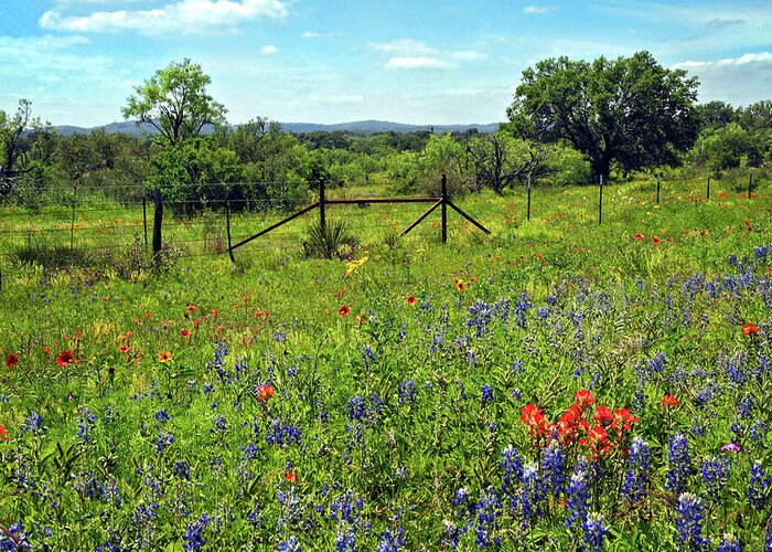 Texas Greeting Card featuring the photograph Spring at it's Finest by Lynn Bauer