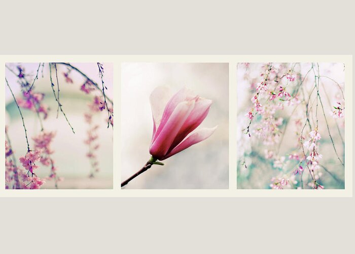 Triptych Greeting Card featuring the photograph Spring Blossom Triptych by Jessica Jenney