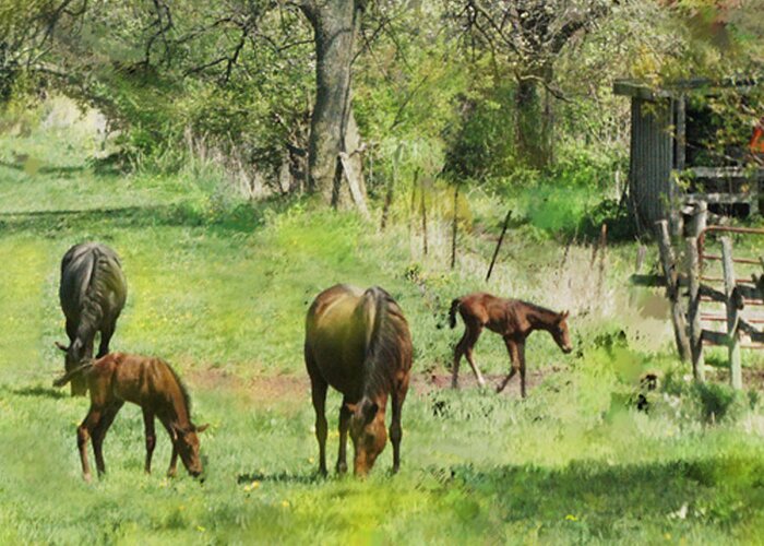 Horses Greeting Card featuring the digital art Spring Colts - Square Version by Studio B Prints