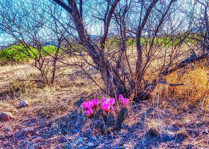 Springtine Greeting Card featuring the photograph Springtime in Arizona by Tatiana Travelways