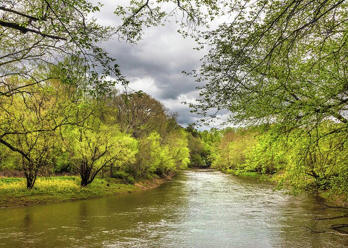 Carolina Greeting Card featuring the photograph Springtime on the River by Debra and Dave Vanderlaan