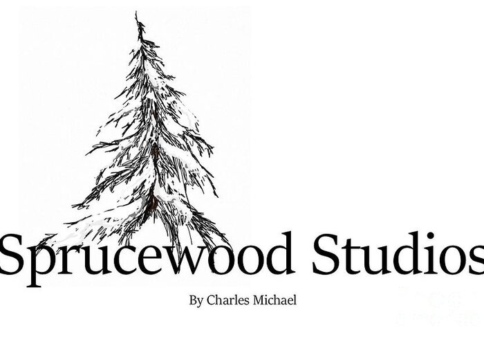 Photography Greeting Card featuring the photograph Sprucewood Studios by Charles Vice