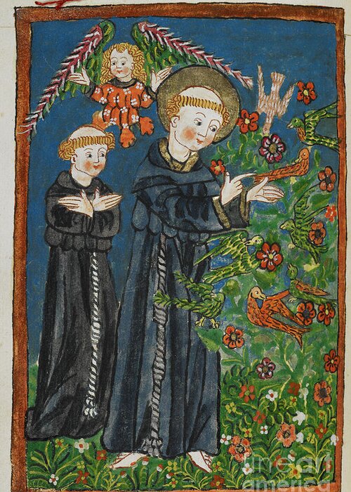 15th Century;angel;priest;religious Orders;religion;bird;animal;saint;saint;plants;flower;flowers;preach;st Francis;francis Of Assisi;15th Century;flora;plant;monk;monks;preaching;religion;plantae;francis Greeting Card featuring the drawing St Francis preaching to the birds by European School