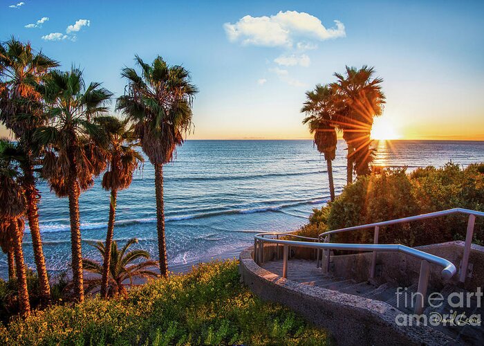 Beach Greeting Card featuring the photograph Stairway to Swami's Beach by David Levin