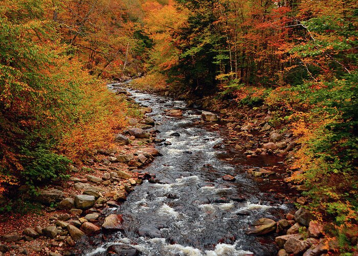Stamford Stream Vt Right After Route 9 Greeting Card featuring the photograph Stamford Stream VT Right After Route 9 by Raymond Salani III