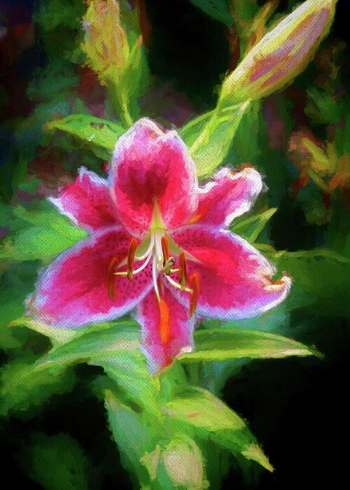 Lily Greeting Card featuring the photograph Stargazer Lily by Ola Allen