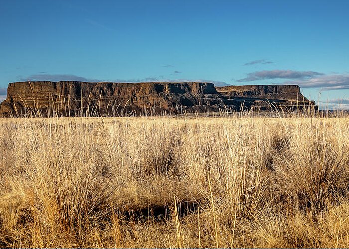State Park Greeting Card featuring the photograph Steamboat Rock by Michael DeGrenier