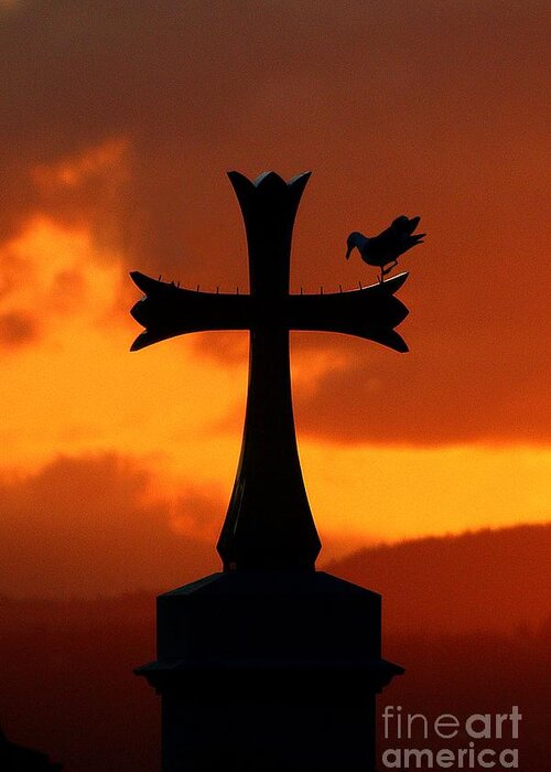 Cross Greeting Card featuring the photograph Steeple Perch by Kimberly Furey