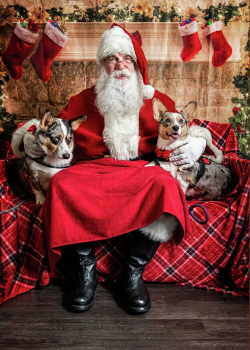 Sidney Greeting Card featuring the photograph Steve-O and Sidney with Santa 1 by Christopher Holmes