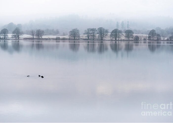 Lake District Greeting Card featuring the photograph Still Water Lake, Cumbria by Perry Rodriguez
